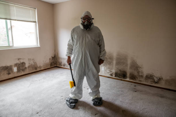 Best Air Quality Testing for Mold Spores  in Islip Terrace, NY