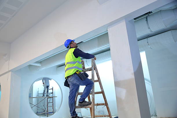 Best Industrial Mold Remediation  in Islip Terrace, NY